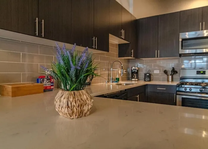 Mccormick Place Family Haven: Spacious 3br-2ba For 8 Apartment Chicago